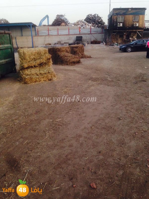 police i3teda2 lud 0527 (11).JPG